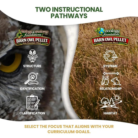 Owl Pellet Dissection Kit For Classrooms, Big 1 Pack image showing two instructional pathways on ecology and anatomy foundations.