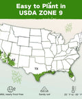 Map showing USDA Zone 9 regions in the USA for the Year Round Seed Bank For Zone 9 Gardeners With 32 Non GMO Heirloom Seeds Of Vegetables Herbs And Fruits Survival Kit For Raised Beds Windowsill Gardens Perfect Gift For Mom Dad And Garden Lovers