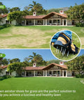 Before and after lawn transformation with Heavy Duty Lawn Aerator Shoes With Stainless Steel Shovel Included Adjustable Fit