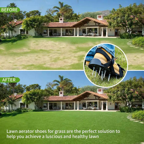 Before and after lawn transformation with Heavy Duty Lawn Aerator Shoes With Stainless Steel Shovel Included Adjustable Fit