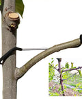 Fruit Tree Branch Spreaders 20 Pack Pro Grade 7 Inch Limb Spreader Kit for fruit trees, shown installed on tree branch.