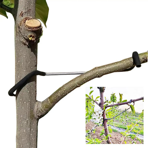 Fruit Tree Branch Spreaders 20 Pack Pro Grade 7 Inch Limb Spreader Kit for fruit trees, shown installed on tree branch.