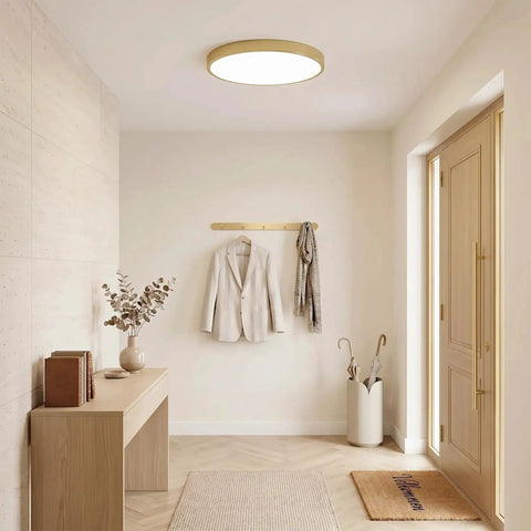Minimalist hallway with wooden console table, decor, coat hanger, and round ceiling light, showcasing a modern entryway design.