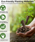 Hands holding eco-friendly planting materials with small plants and planting pellets.