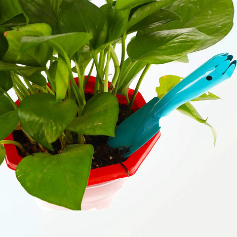Blue hand shovel from Four Piece Eight Inch Trowel Set With Colorful Metal Hand Shovels for Beach Garden and Planting tasks in red pot