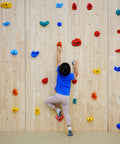 Fifty Pack Beefed Up Socket Head Cap Bolts 3/8X2 Inch Alloy Steel Bouldering Climbing Holds Mounts For Home Gyms Easy Rigging Then Go Chase Those Gains with colorful climbing holds.