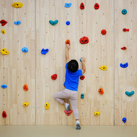 Fifty Pack Beefed Up Socket Head Cap Bolts 3/8X2 Inch Alloy Steel Bouldering Climbing Holds Mounts For Home Gyms Easy Rigging Then Go Chase Those Gains with colorful climbing holds.