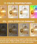 Rechargeable Battery Wall Sconces With Clear Glass Shades, showcasing 15 color temperatures and dimmable light options.