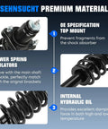 Beefed-Up Rear Complete Coil Spring Strut Kit With Hydraulic Shock Absorbers, featuring premium material by SEHNSUCHT