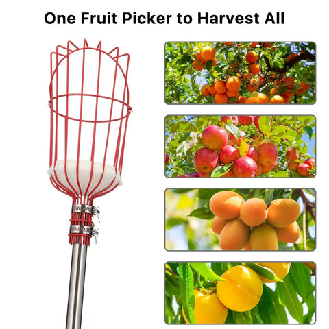 Game Changer Fruit Picker Pole With Large Metal Basket And Long Adjustable Handle With images of fruits on trees