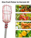 Adjustable 8 Ft Fruit Picker Pole With Large Metal Basket And Soft Pad, Lightweight Gardening Tool For Picking Peaches Mangoes Apples Oranges From Trees, Long Handle With Carrying Bag