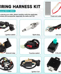 Components of All In One ATV Wiring Harness Kit For 50cc 70cc 90cc 110cc 125cc Quads And Go Karts With 6 Pole Stator CDI Spark Plug Relay
