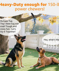 Dogs looking at Outdoor Bungee Tug Toy For Dogs Tree Hanging Rope Tug Interactive Chew Rope Adjustable Height Backyard Play