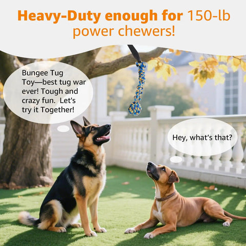 Dogs looking at Outdoor Bungee Tug Toy For Dogs Tree Hanging Rope Tug Interactive Chew Rope Adjustable Height Backyard Play