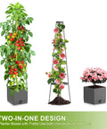 Two Pack Raised Garden Bed Tomato Planter With Trellis And 57 Inch Tomato Cage Plant Support Self Watering Planter