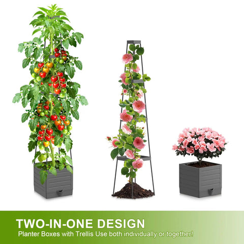 Two Pack Raised Garden Bed Tomato Planter With Trellis And 57 Inch Tomato Cage Plant Support Self Watering Planter