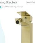 Close-up of Concorde Bidet Faucet In Brushed Gold Solid Brass Single Hole Install 1.2 GPM Flow Easy One Handle Control For Hot And Cold Water