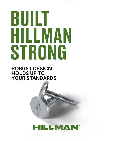 Stainless Hurricane Bolts With Combo Drive Low Profile Truss Head 1/4-20 x 2 shown with Hillman branding background