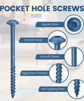 Diagram showing features of a screw from 600 Piece Pocket Hole Screws Kit With Five Sizes Eight By One Inch Eight By One And Quarter Inch Eight By One And Half Inch Eight By Two Inch Eight By Two And Half Inch Heavy Duty Anti Rust Blue Finish Exterior Self Tapping Wood Screws With 150mm Drive