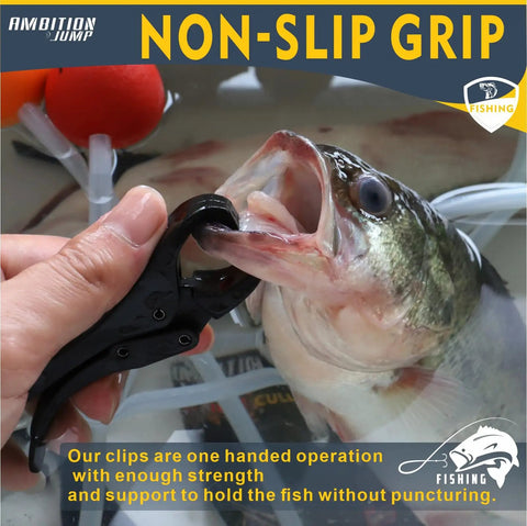 Using Non Puncture Bass Fishing Cull Tags Set With Six Color Coded Tags And Buoy Keeper on bass fish with clip design.