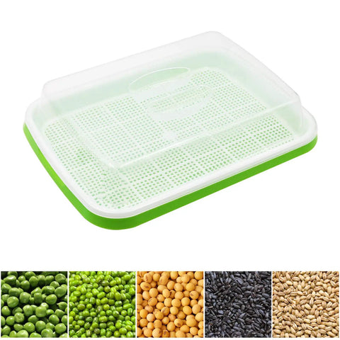 Soil-free germination tray with clear lid from Five Layer Seed Starter Kit With Clear Lid No Tool Needed Stainless Steel Shelf And Soil Free Germination Trays For Indoor Outdoor Microgreens Wheatgrass Mung Beans Cat Grass And Seedlings, with seed varieties shown below