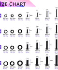 Detailed size chart of 2205 Piece Metric Screws Set M2 M3 M4 M5 Assortment Kit With Hex Socket Button Head Bolts Nuts And Washers.