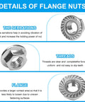 10 Pack M10 Serrated Flange Hex Nuts 1.5mm Pitch, 304 Stainless Steel product with serration, thread, and flange details