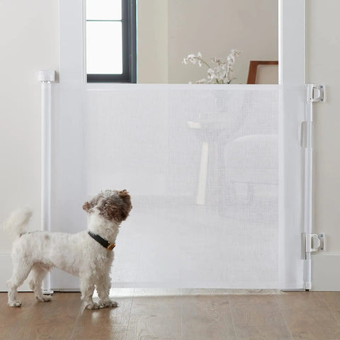 Retractable Baby Gate With Mesh for quick room conversion, dog standing by white mesh gate, extends 0-55 inches wide, sturdy locking