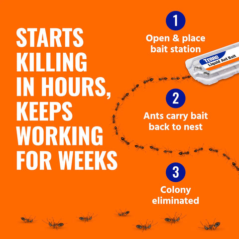 Diagram showing how Liquid Ant Bait Stations For Indoor Control 12 Count Bait System That Attracts And Kills Ants Fast works