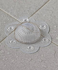 Clear PVC shower drain hair catcher cover with six suction cups, designed to block hair for steady water flow.