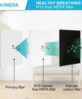 Diagram showing Two Pack HEPA Replacement Filters With Odor Pre-Filters For AP 1512HH Air Purifier, True H13 Filtration process