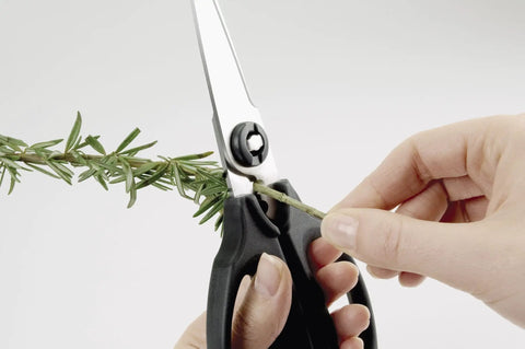 Multi Purpose Kitchen Shears And Herb Scissors With Stainless Steel Blades Micro Serrated Edges Herb Stripper Cushioned Grips And Detachable Blades For Easy Cleaning And Heavy Duty Cutting Everyday Kitchen Hack cutting rosemary sprig