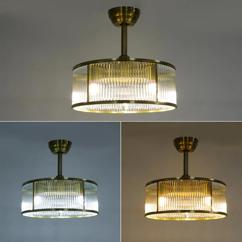 Vintage Industrial Caged Ceiling Fan Light Fixture with Remote,7-Blade Fan in a stylish brass finish with a transparent shade.