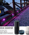 WiFi RGBW Deck Light Kit 20 Pack Low Voltage Recessed In Ground Outdoor Lights for Garden Patio Stair demonstrating voice control