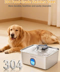 Huge 4 Gallon Dog Water Fountain For Large Dogs And Multi-Pet Homes Stainless Steel Pet Fountain with LED and water window FS76