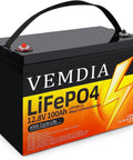 Beefy 12V 100Ah LiFePO4 Battery With Built In 100A BMS for RVs Solar Wind and Home Power Group 31 Deep Cycle Battery