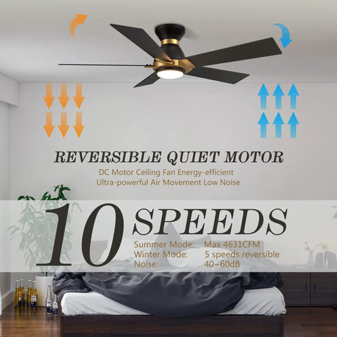 Lit Wifi Led Ceiling Fan With Remote And App Control, Timer And Schedule, Damp Location Rated 52 Inch With Plywood Blades