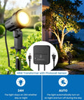 Low Voltage Landscape Lighting Kit with 12 LED Spotlights, 100 ft Wire, Transformer and 24 Connectors illuminating garden area
