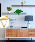 Built Tough Hidden Triangle Wall Shelf Brackets Rock Solid Heavy Duty Floating Bracket Kit For Diy Bookshelf Storage And Clean Modern Home Decor Upgrade Two Piece Black Metal on displayed shelves with plants.