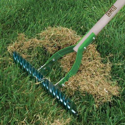 15 Inch Adjustable Self Cleaning Thatch Rake With Hardwood Handle For Lawn Care Curved Tines For Clearing Dead Grass Clippings on Lawn