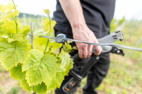 Easy Fencing Wire Joiner Medium Gauge 10 To 13.5 in use on vineyard fence wire by person holding a tool, front view.