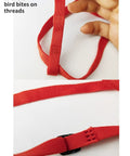 Adjustable Parrot Harness With Leash For Outdoor Flight Training 78.7 Inch Rope Kit close-up of red nylon strap and wireless stitching.