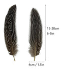 Natural Spotted Pheasant Feathers For Crafts And Jewelry Making, Guinea Fowl Wing Feathers 6-8 Inches, 50 Pack displayed vertically