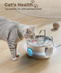 Stainless Steel Cat Water Fountain With 74oz Capacity for Hydration, Quiet Indoor Pet Water Dispenser, cat drinking from bowl
