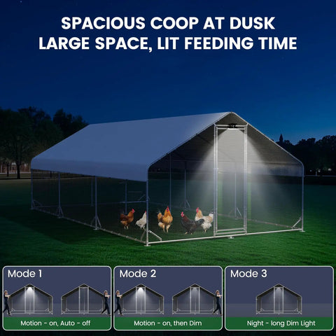Dusk view of large walk-in chicken coop with solar light and hardware cloth; designed for farm and backyard use.