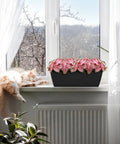 Four Pack Window Box Planters With Easy Install Adjustable Brackets on windowsill with pink flowers, cat lounging nearby