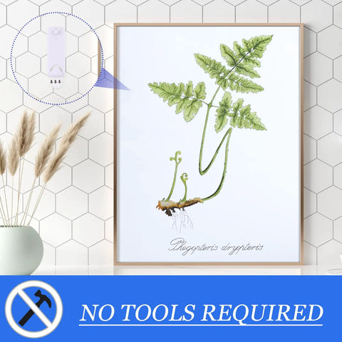 Damage Free Picture Hangers 100 Pack Adhesive Strips No Nails Hooks holding framed botanical print on wall