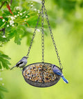 Large Capacity Hanging Bird Feeder For Garden And Yard Outdoors With Metal Mesh Platform And Fine Mesh Tray Holds Up To 3 Lb Of Seeds Easy Refill No Mess Attracts More Birds And Keeps Feeding Fresh hanging in a tree with birds feeding.
