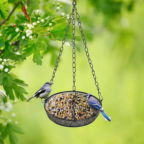 Large Capacity Hanging Bird Feeder For Garden And Yard Outdoors With Metal Mesh Platform And Fine Mesh Tray Holds Up To 3 Lb Of Seeds Easy Refill No Mess Attracts More Birds And Keeps Feeding Fresh hanging in a tree with birds feeding.