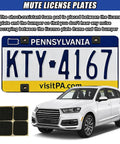 4 Piece Stainless Steel License Plate Screw Set with shock-resistant foam pad for quiet license plate mounting.